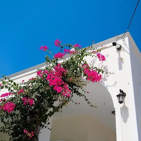 Houses With Balcony And Garden
