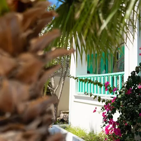 Houses With Balcony And Garden